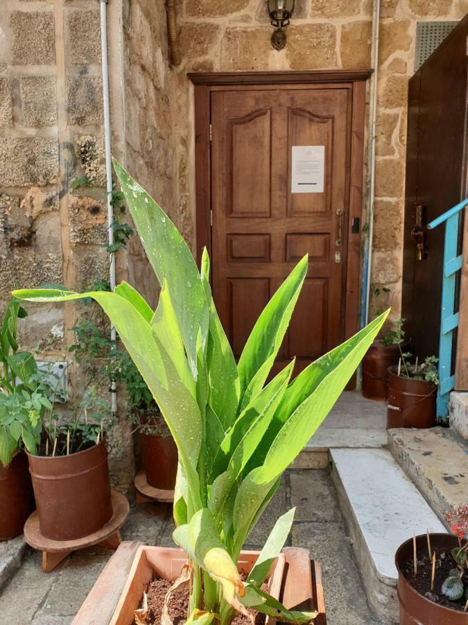 Ferienwohnung Zidan Sarai Akkon Exterior foto